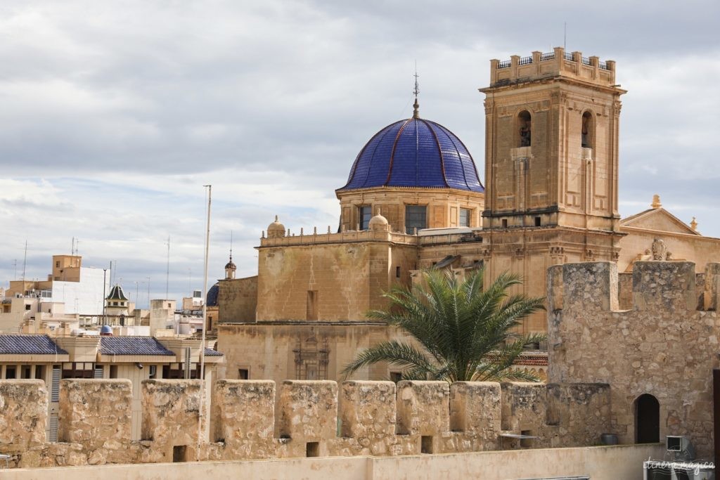 Visiter Elche en Espagne : la plus grande palmeraie d'Europe, la gastronomie du sud de l'Espagne, le mystère d'Elche, les plages d'Elche...