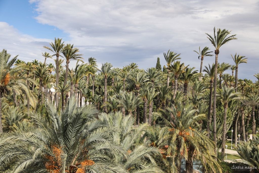 Visiter Elche en Espagne : la plus grande palmeraie d'Europe, la gastronomie du sud de l'Espagne, le mystère d'Elche, les plages d'Elche...