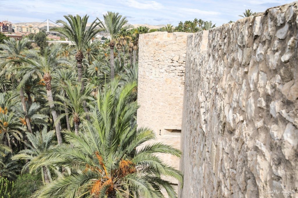 Visiter Elche en Espagne : la plus grande palmeraie d'Europe, la gastronomie du sud de l'Espagne, le mystère d'Elche, les plages d'Elche...