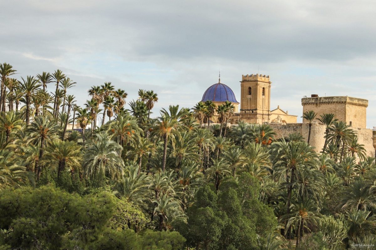 Visiter Elche en Espagne : la plus grande palmeraie d'Europe, la gastronomie du sud de l'Espagne, le mystère d'Elche, les plages d'Elche...