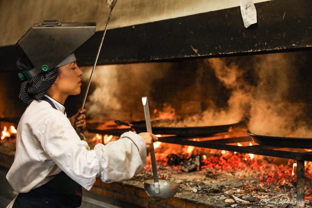 Visiter Elche en Espagne : la plus grande palmeraie d'Europe, la gastronomie du sud de l'Espagne, le mystère d'Elche, les plages d'Elche...