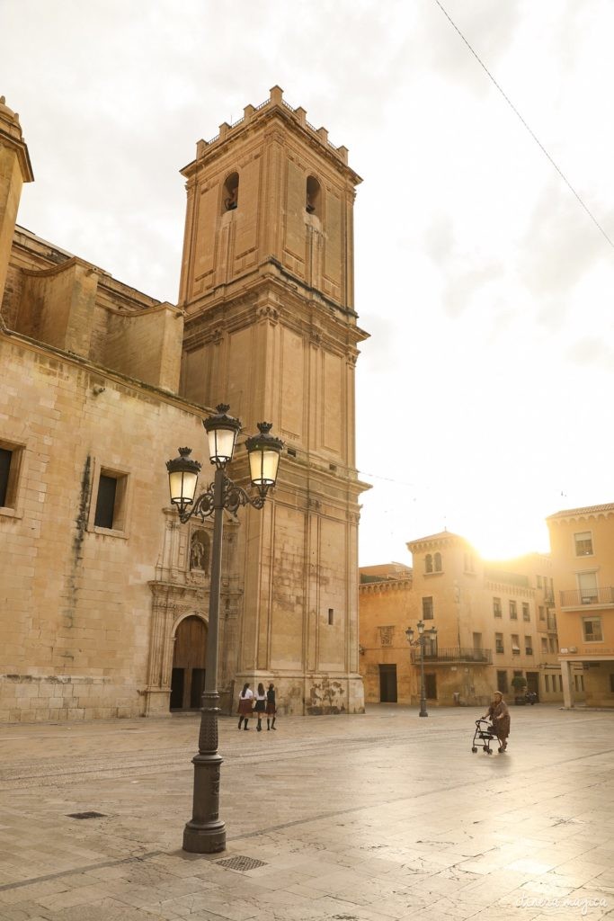 Visiter Elche en Espagne : la plus grande palmeraie d'Europe, la gastronomie du sud de l'Espagne, le mystère d'Elche, les plages d'Elche...