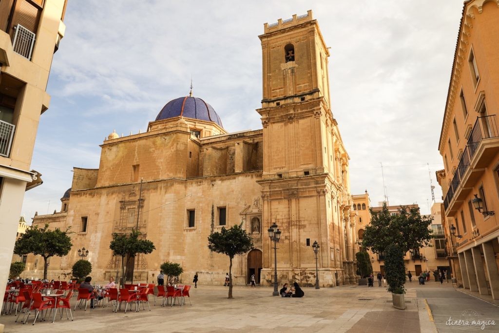 Visiter Elche en Espagne : la plus grande palmeraie d'Europe, la gastronomie du sud de l'Espagne, le mystère d'Elche, les plages d'Elche...