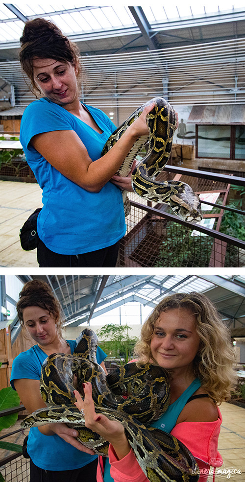 Que faire dans la Drôme ? Visiter la Ferme aux crocodiles ! Le paradis des reptiles: crocodiles, pythons, iguanes, tortues géantes, et bien d'autres animaux