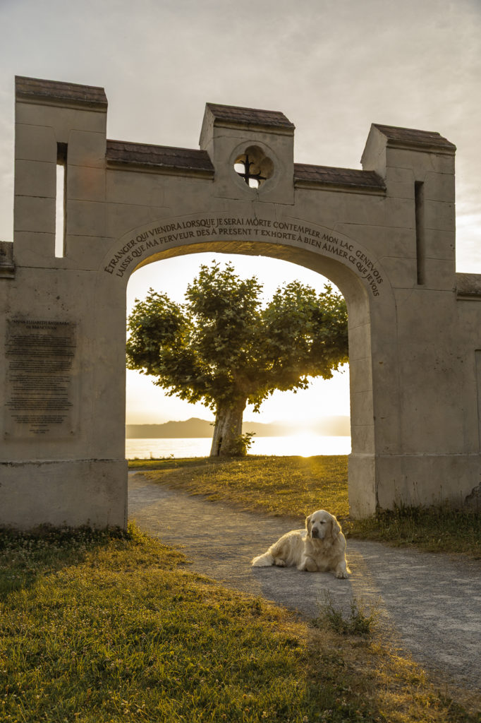 Evian et le lac Léman avec mon chien : bonnes adresses dog friendly, activités nautiques, visites et coups de coeur.
