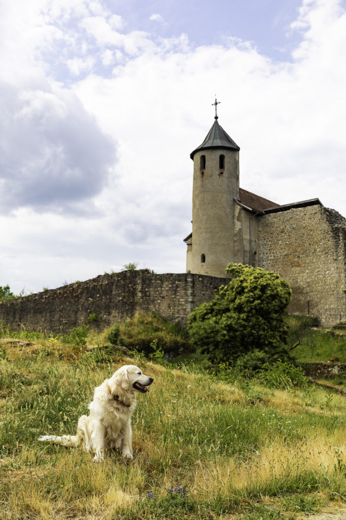Avec mon chien au bord du Léman