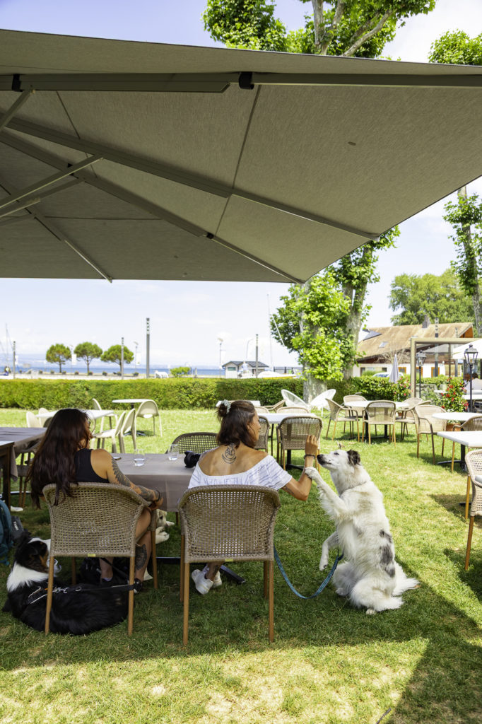 Avec mon chien au bord du Léman