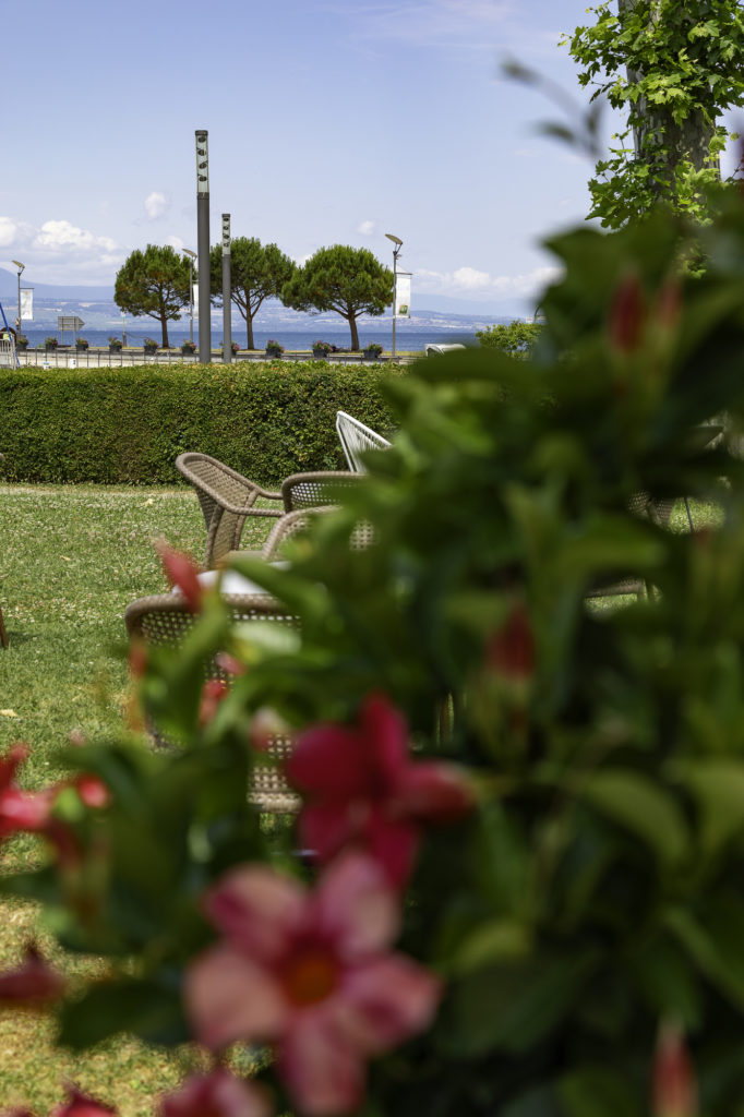 Avec mon chien au bord du Léman