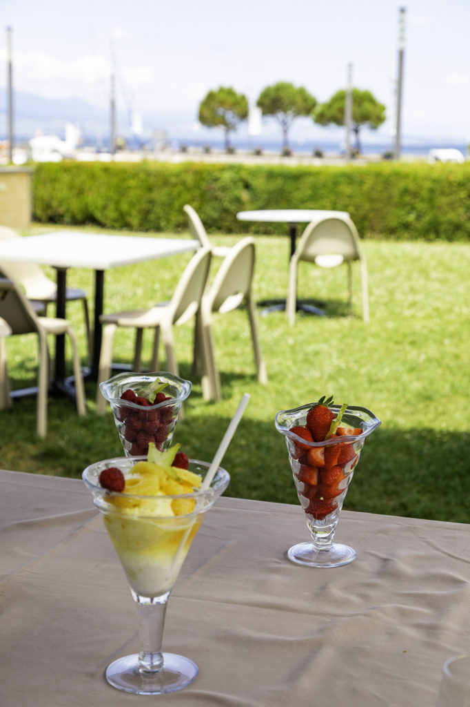 Avec mon chien au bord du Léman