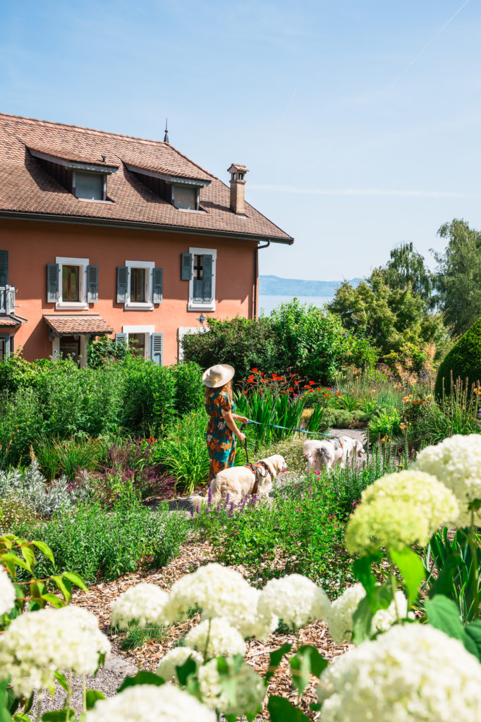 Evian et le lac Léman avec mon chien : bonnes adresses dog friendly, activités nautiques, visites et coups de coeur.