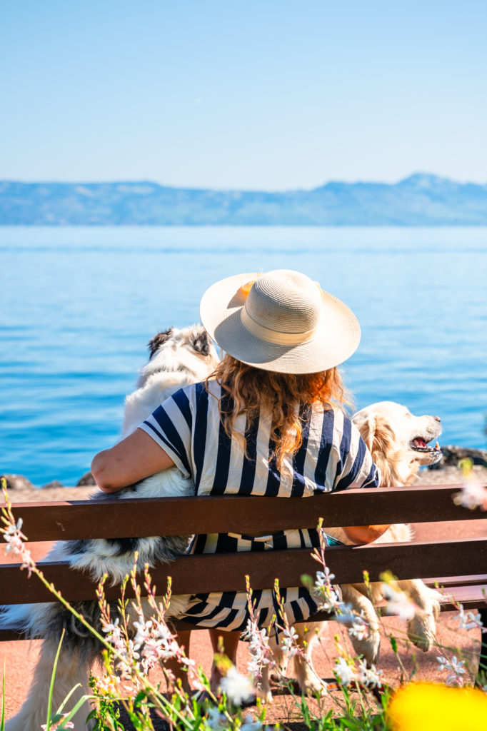 Evian et le lac Léman avec mon chien : bonnes adresses dog friendly, activités nautiques, visites et coups de coeur.