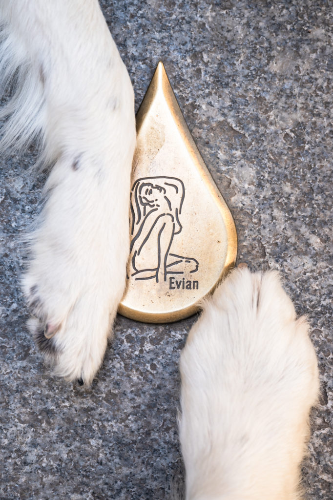 Evian et le lac Léman avec mon chien : bonnes adresses dog friendly, activités nautiques, visites et coups de coeur.