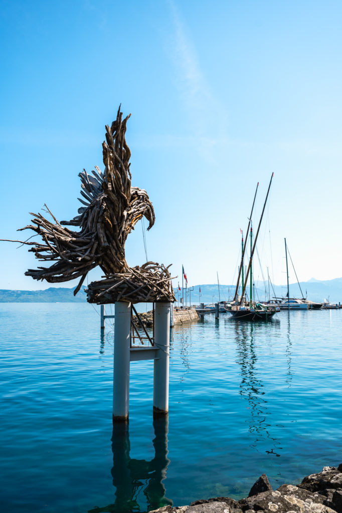 Evian et le lac Léman avec mon chien : bonnes adresses dog friendly, activités nautiques, visites et coups de coeur.