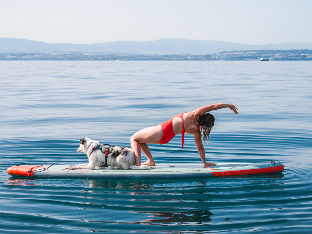 Evian et le lac Léman avec mon chien : bonnes adresses dog friendly, activités nautiques, visites et coups de coeur.