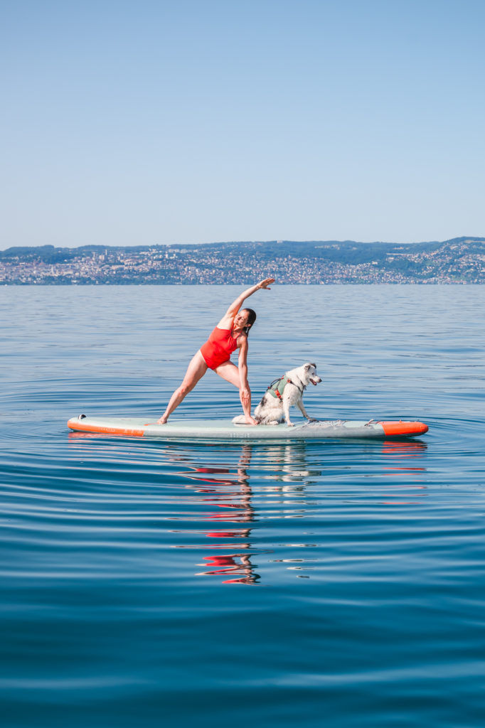Evian et le lac Léman avec mon chien : bonnes adresses dog friendly, activités nautiques, visites et coups de coeur.