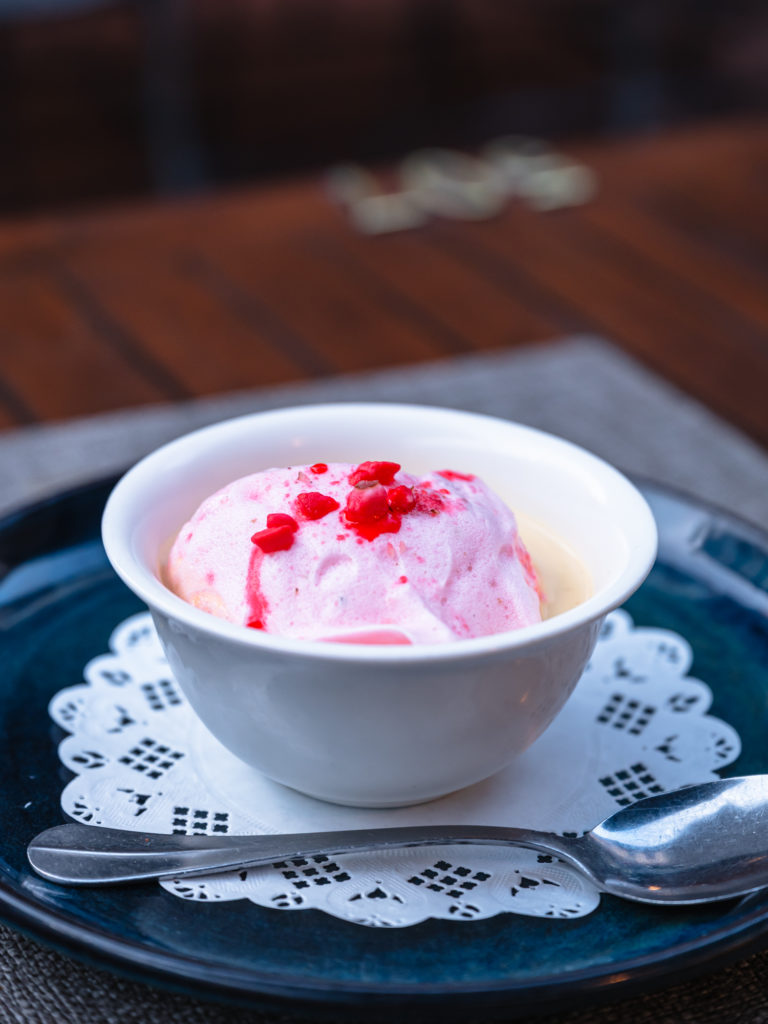 Bonnes adresses dog friendly pour voyager à Evian avec mon chien