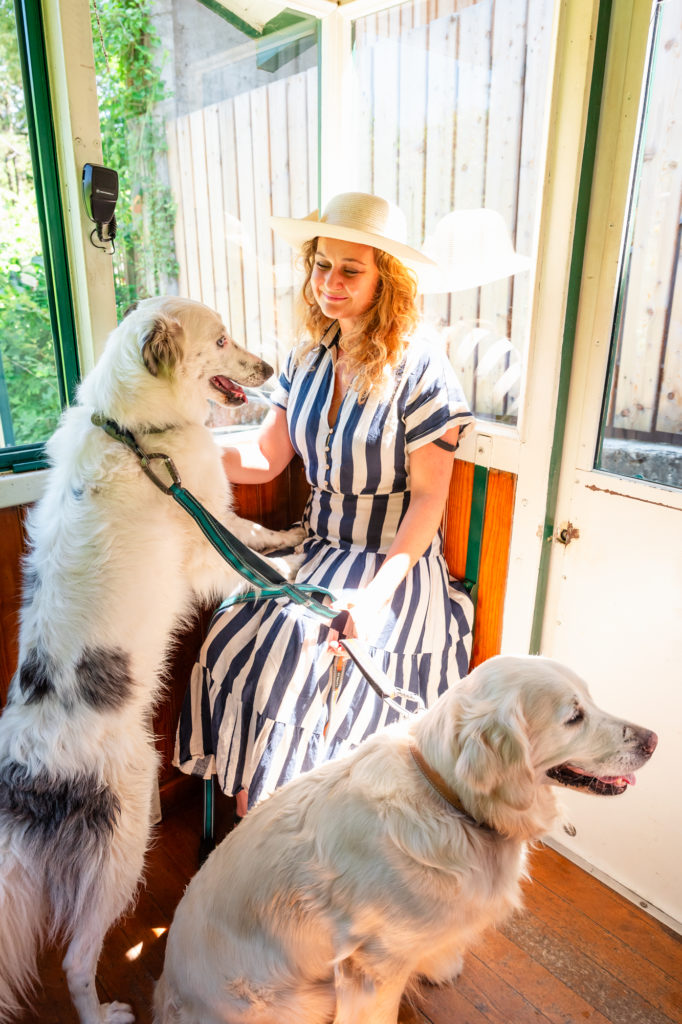 Evian et le lac Léman avec mon chien : bonnes adresses dog friendly, activités nautiques, visites et coups de coeur.