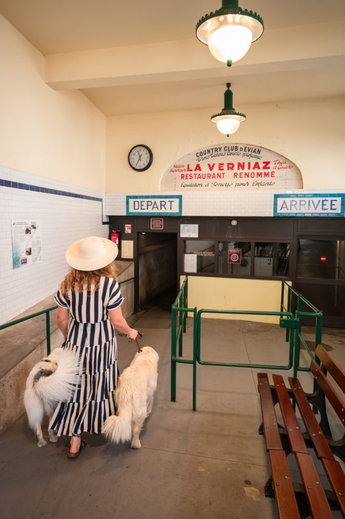 Evian et le lac Léman avec mon chien : bonnes adresses dog friendly, activités nautiques, visites et coups de coeur.