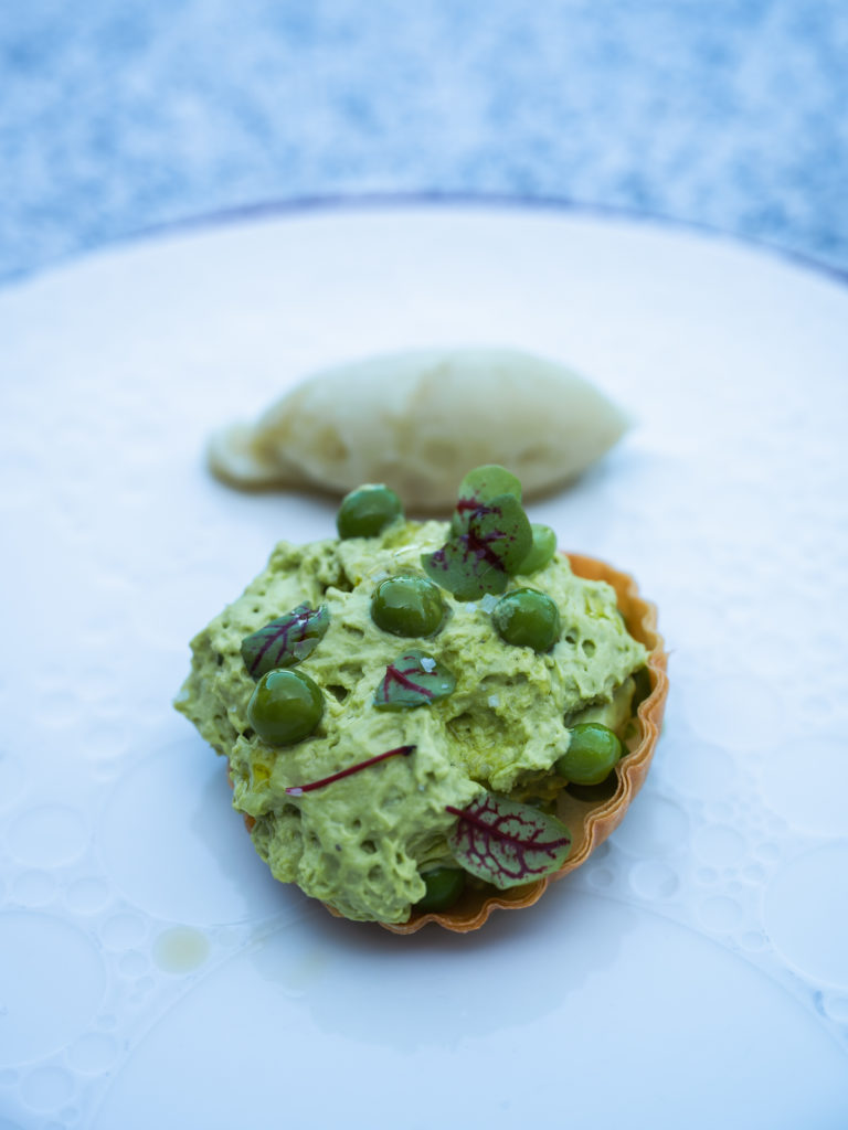 Bonnes adresses dog friendly pour voyager à Evian avec mon chien