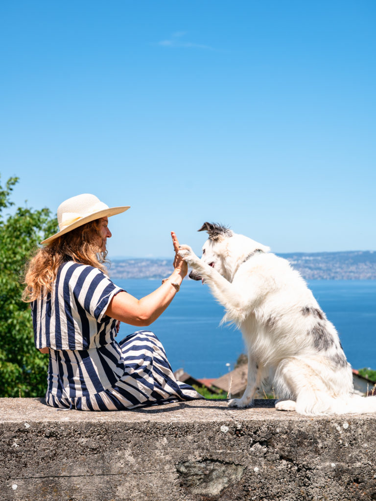 Evian et le lac Léman avec mon chien : bonnes adresses dog friendly, activités nautiques, visites et coups de coeur.