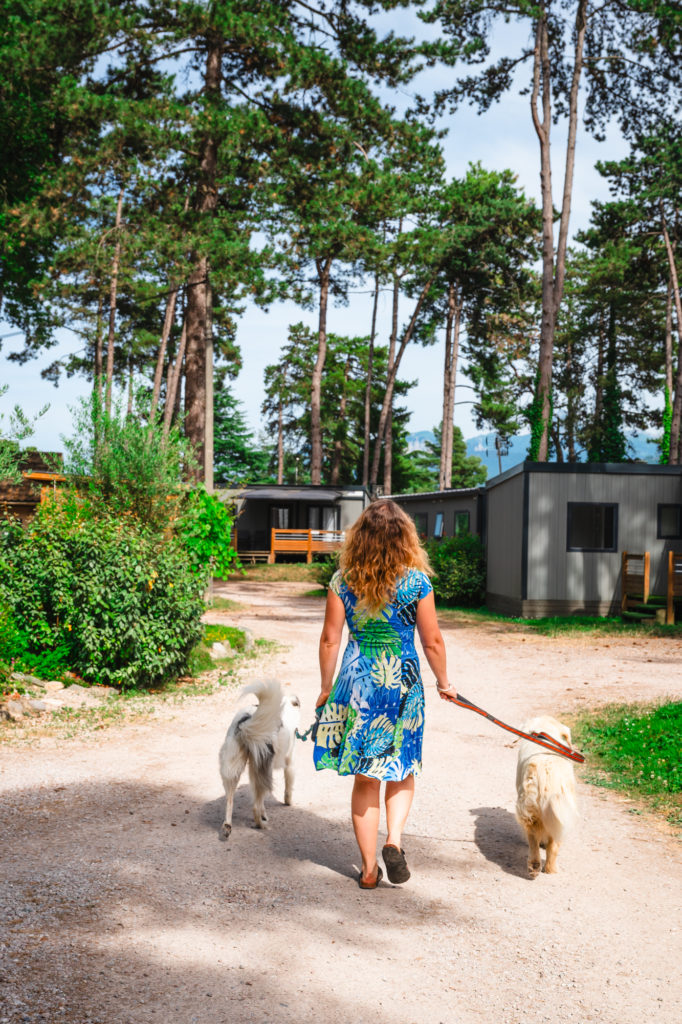 Evian et le lac Léman avec mon chien : bonnes adresses dog friendly, activités nautiques, visites et coups de coeur.
