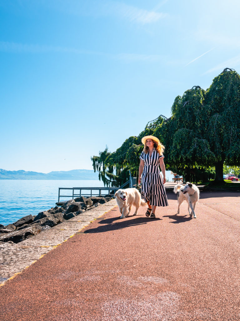 Evian et le lac Léman avec mon chien : bonnes adresses dog friendly, activités nautiques, visites et coups de coeur.