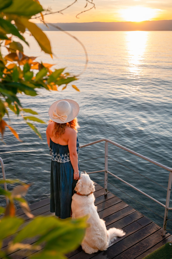 Evian et le lac Léman avec mon chien : bonnes adresses dog friendly, activités nautiques, visites et coups de coeur.