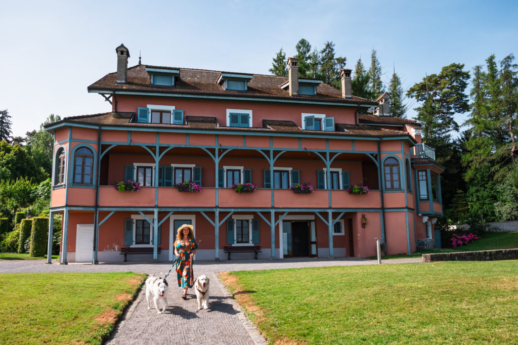 Evian et le lac Léman avec mon chien : bonnes adresses dog friendly, activités nautiques, visites et coups de coeur.