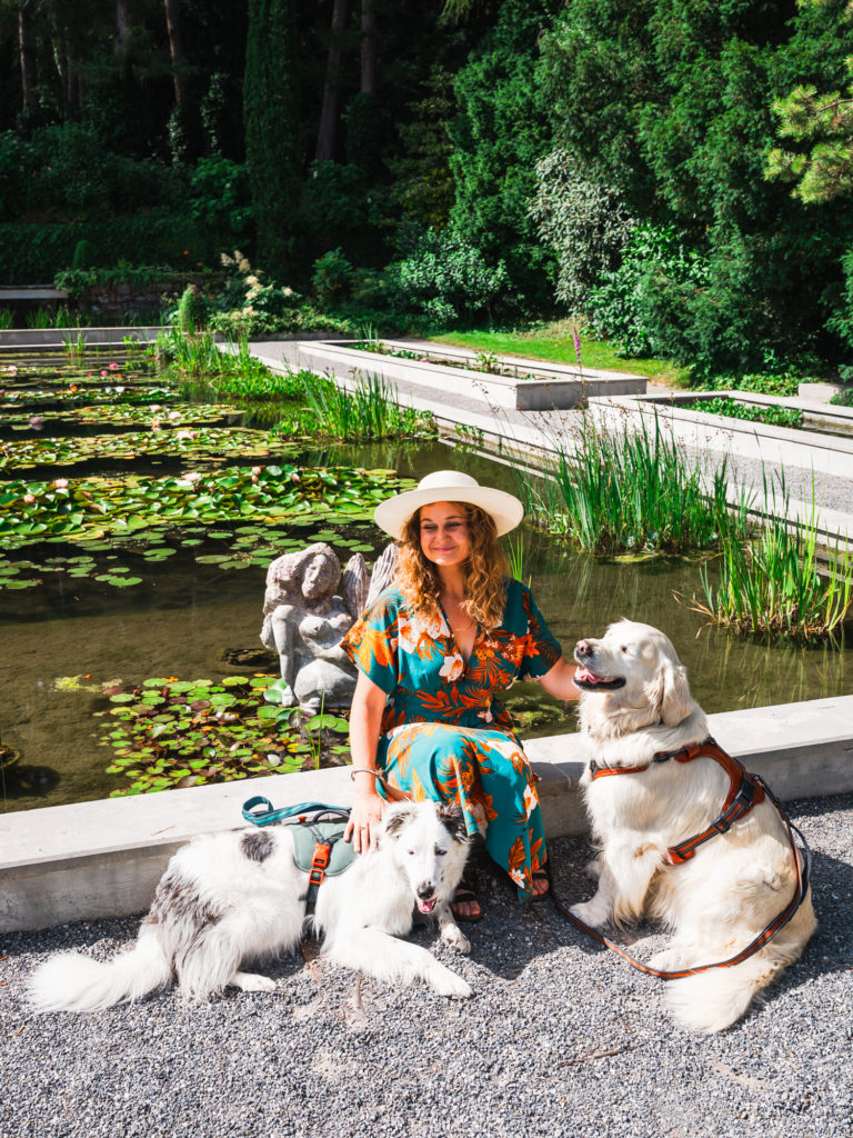 Evian et le lac Léman avec mon chien : bonnes adresses dog friendly, activités nautiques, visites et coups de coeur.