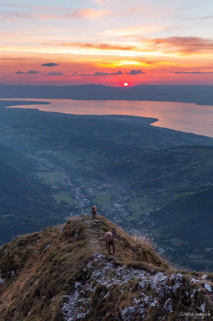 Visiter Evian-les-Bains et Thollon-les-Mémises, des rives du lac Léman à la Dent d'Oche. Randonnées et bonnes adresses