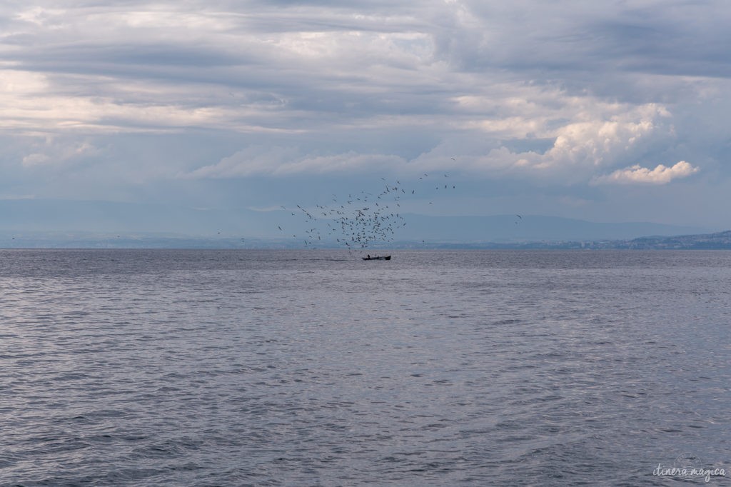 Visiter Evian-les-Bains et Thollon-les-Mémises, des rives du lac Léman à la Dent d'Oche. Randonnées et bonnes adresses