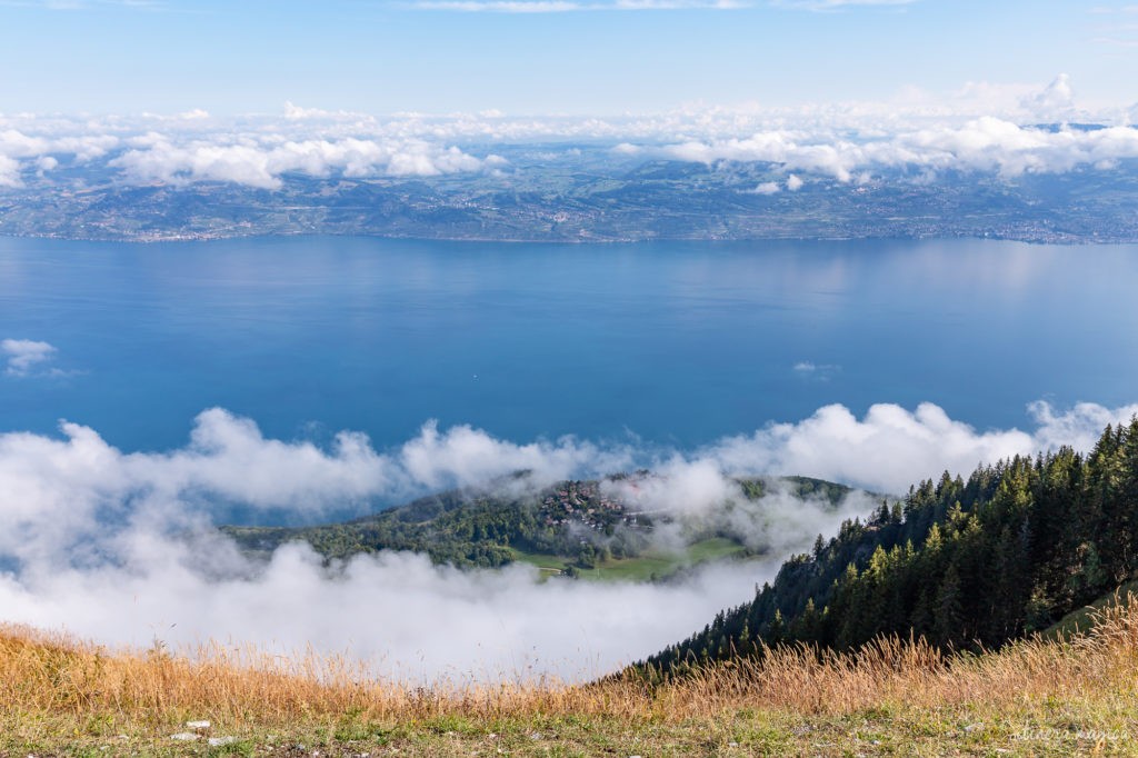 Visiter Evian-les-Bains et Thollon-les-Mémises, des rives du lac Léman à la Dent d'Oche. Randonnées et bonnes adresses