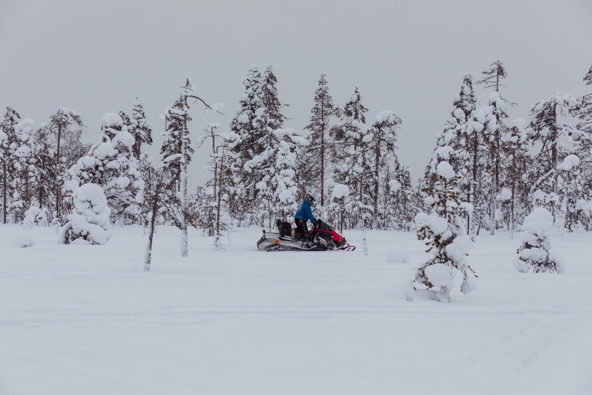 Expériences magiques en Laponie finlandaise : rennes, igloos, motoneige... tout ce qu'on peut faire à Rovaniemi. Blog Laponie finlandaise