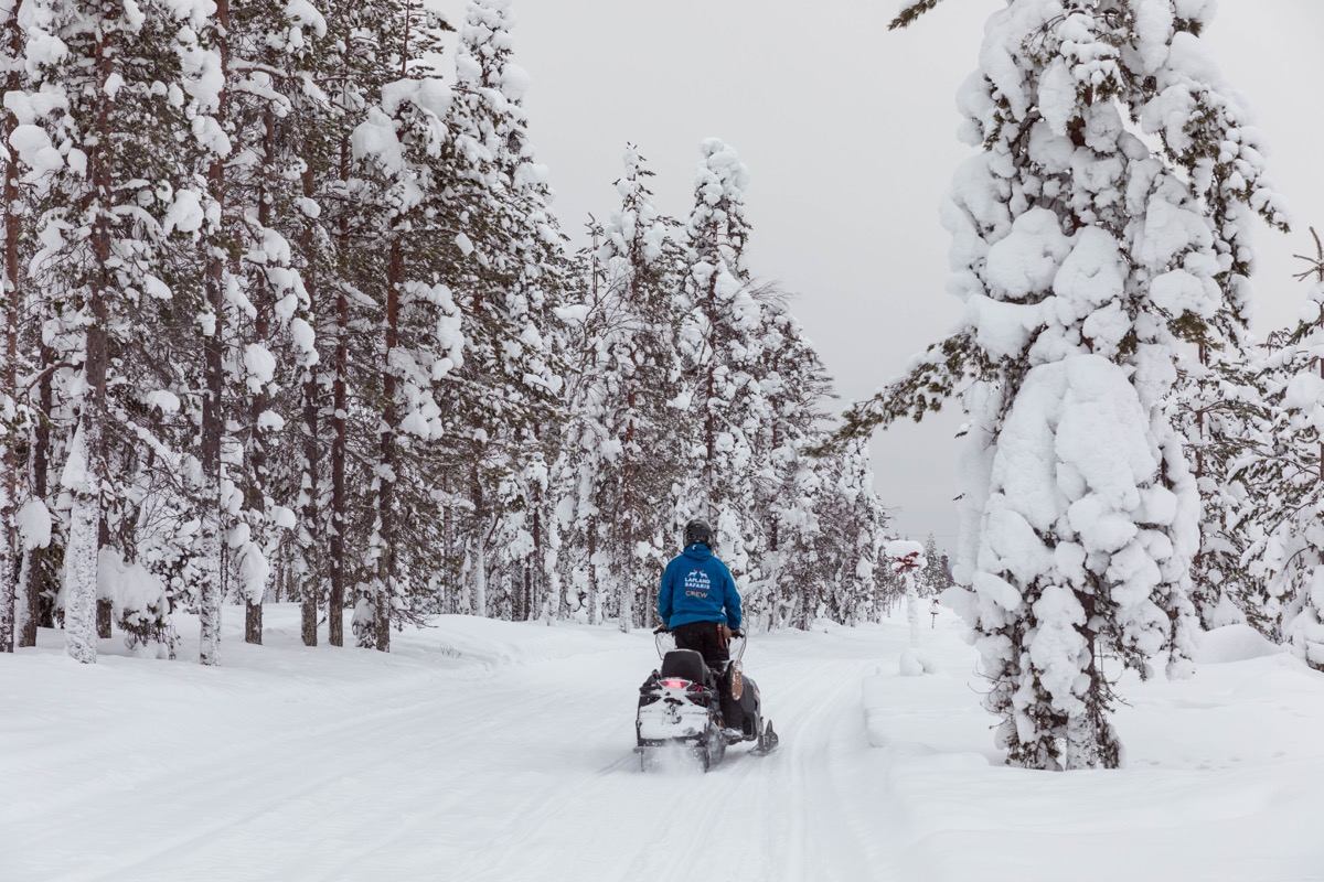 Expériences magiques en Laponie finlandaise : rennes, igloos, motoneige... tout ce qu'on peut faire à Rovaniemi. Blog Laponie finlandaise