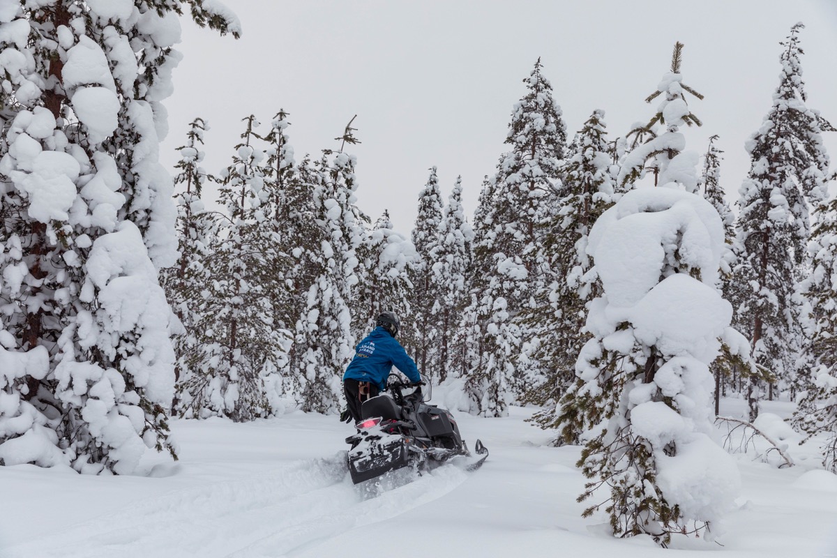 Expériences magiques en Laponie finlandaise : rennes, igloos, motoneige... tout ce qu'on peut faire à Rovaniemi. Blog Laponie finlandaise