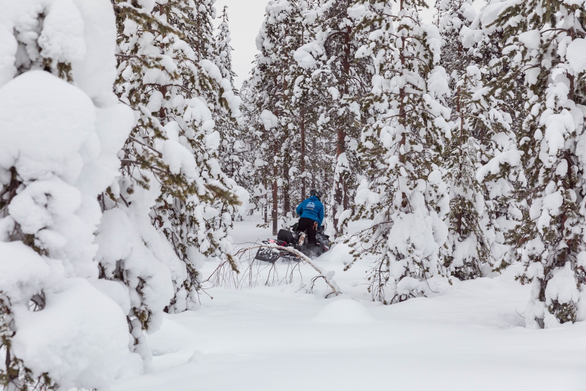 Expériences magiques en Laponie finlandaise : rennes, igloos, motoneige... tout ce qu'on peut faire à Rovaniemi. Blog Laponie finlandaise