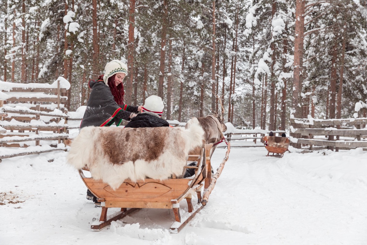 Expériences magiques en Laponie finlandaise : rennes, igloos, motoneige... tout ce qu'on peut faire à Rovaniemi. Blog Laponie finlandaise