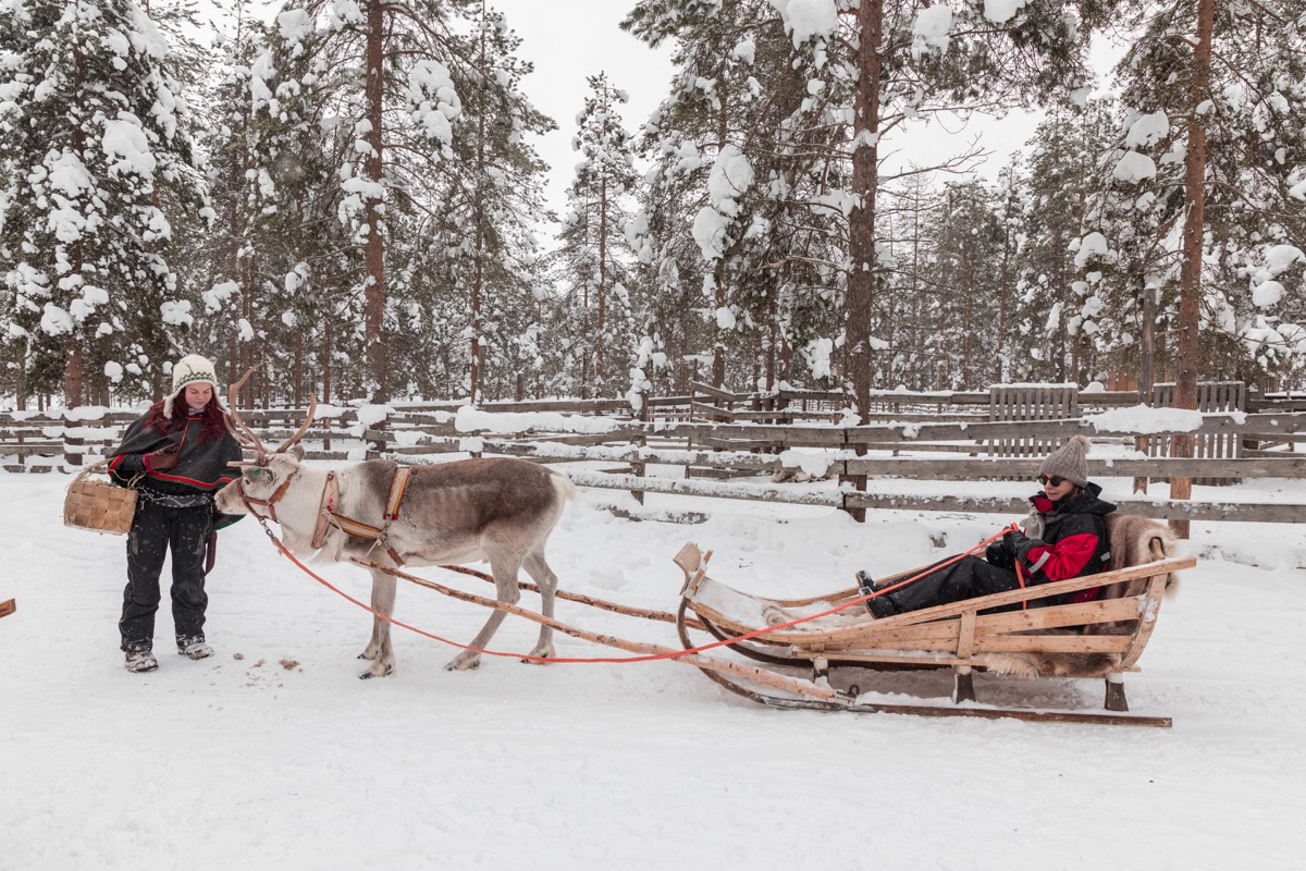 Expériences magiques en Laponie finlandaise : rennes, igloos, motoneige... tout ce qu'on peut faire à Rovaniemi. Blog Laponie finlandaise