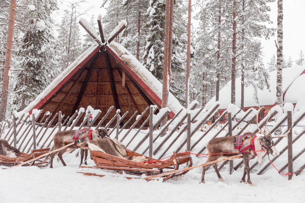 Expériences magiques en Laponie finlandaise : rennes, igloos, motoneige... tout ce qu'on peut faire à Rovaniemi. Blog Laponie finlandaise