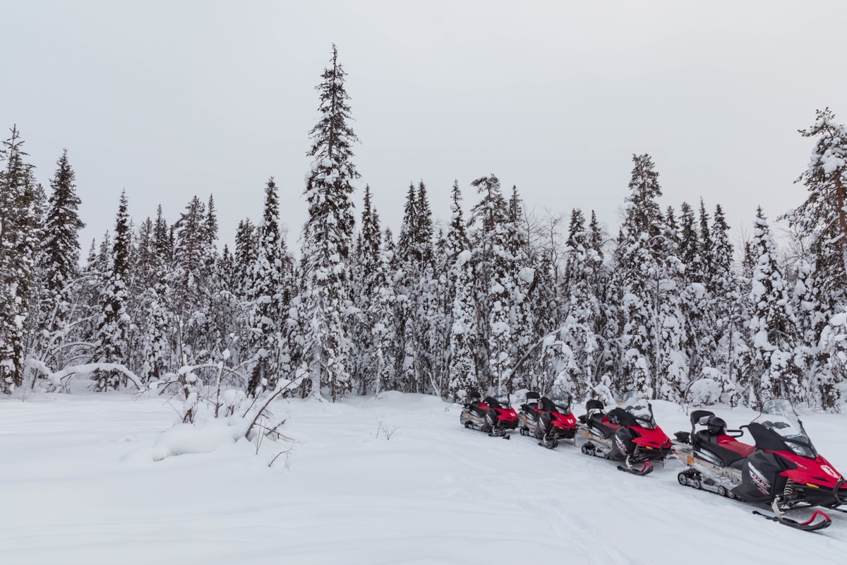 Expériences magiques en Laponie finlandaise : rennes, igloos, motoneige... tout ce qu'on peut faire à Rovaniemi. Blog Laponie finlandaise