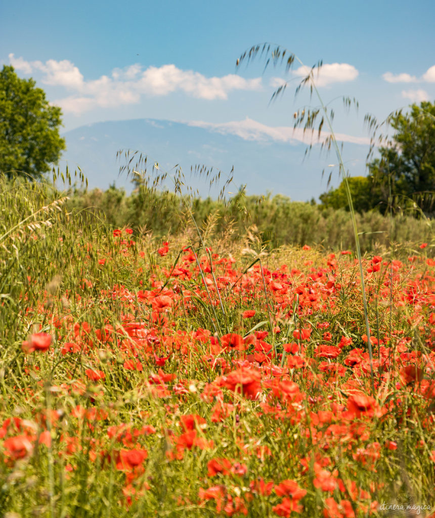 Must see in Provence: the best places to see in Provence, natural wonders of Provence