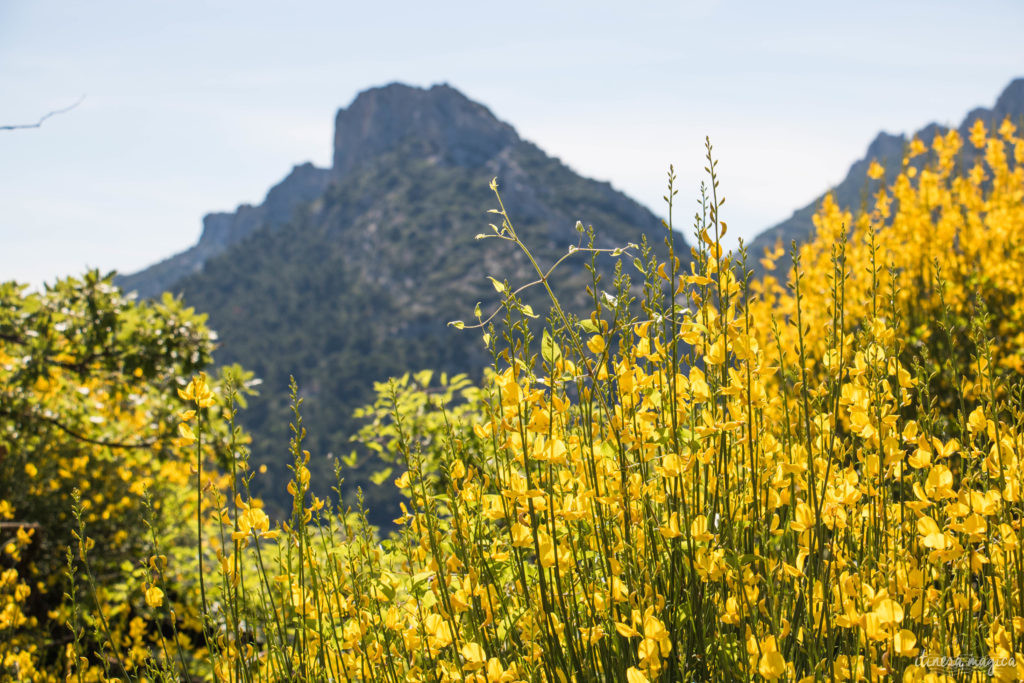 plus beaux sites naturels de provence