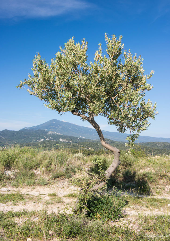 Must see in Provence: the best places to see in Provence, natural wonders of Provence