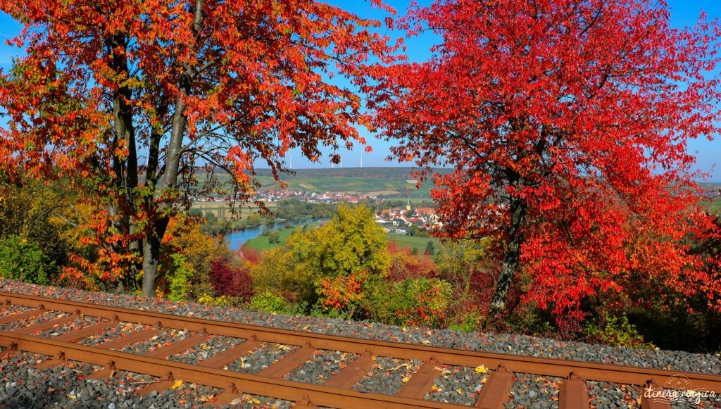 Où voir les couleurs d'automne, en Europe, au Japon, au Québec et ailleurs ? Les plus belles couleurs de l'automne par les blogueurs de voyage, pour des voyages chatoyants. #automne 