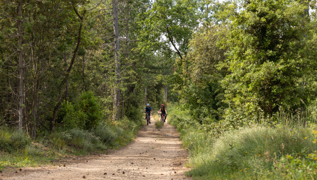 Que faire dans le Gard rhodanien, que faire en Provence occitane ?VTT dans le Gard