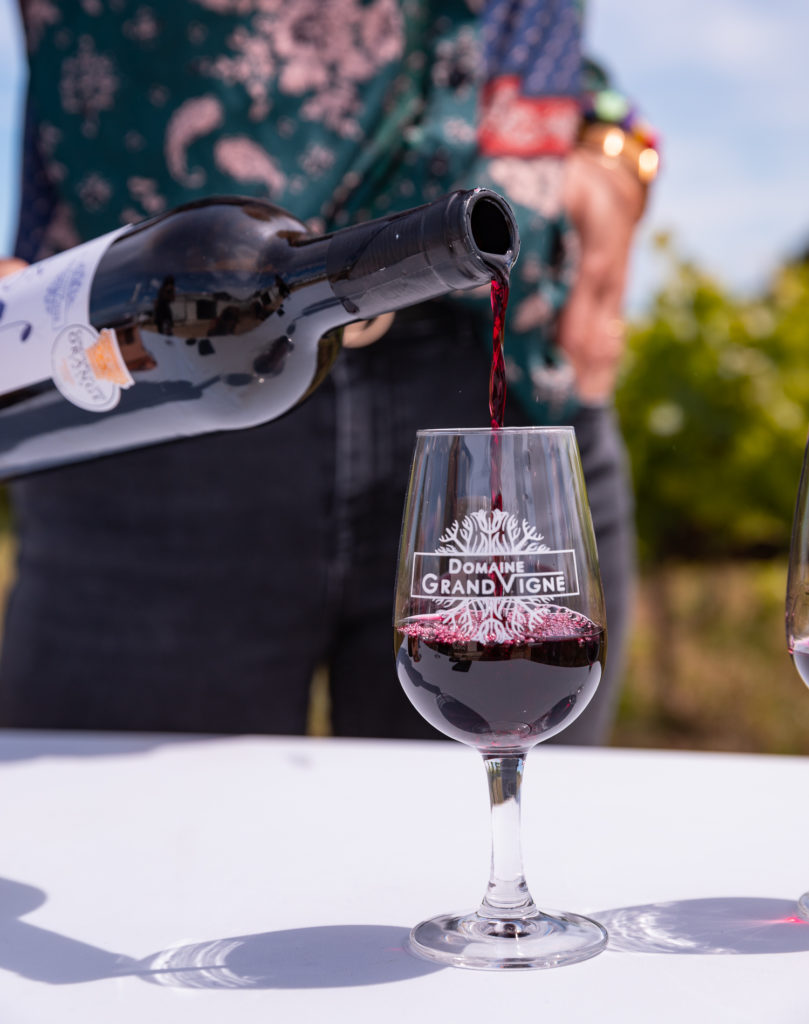 Que faire dans le Gard rhodanien, que faire en Provence occitane ? atelier dégustation côtes du rhône