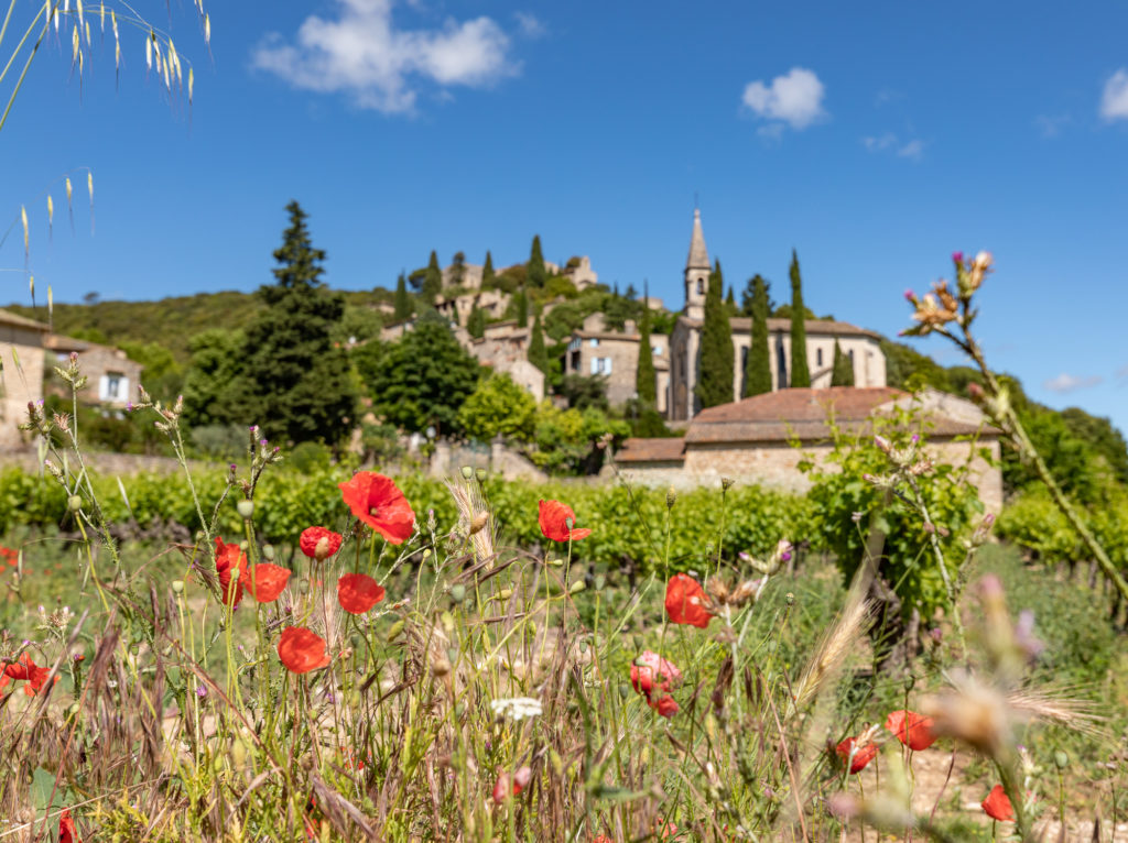 Que faire dans le Gard rhodanien, que faire en Provence occitane ? Découvrir La Roque sur Cèze, les cascades du Sautadet