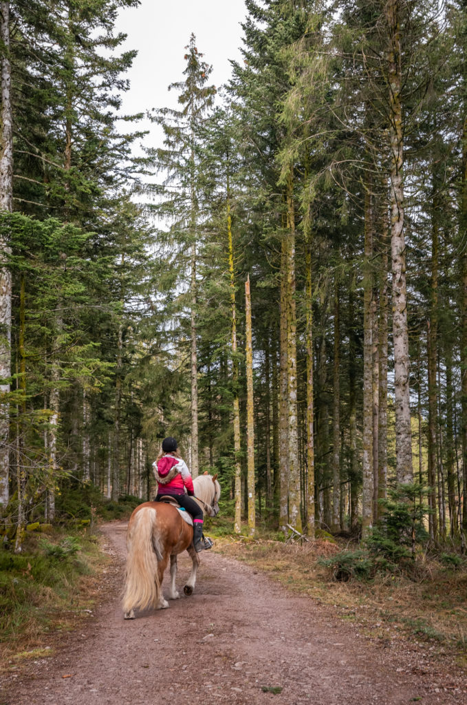 Réussir son séjour d'hiver à Gérardmer, avec ou sans ski. Que faire à Gérardmer en hiver sans neige ? Activités et bonnes adresses.