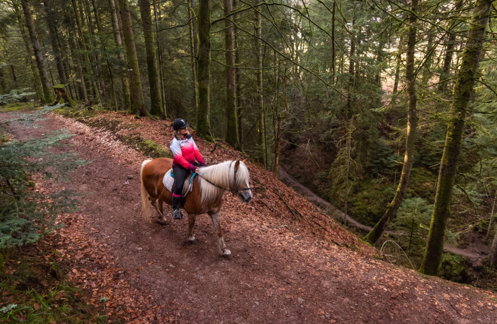 Réussir son séjour d'hiver à Gérardmer, avec ou sans ski. Que faire à Gérardmer en hiver sans neige ? Activités et bonnes adresses.