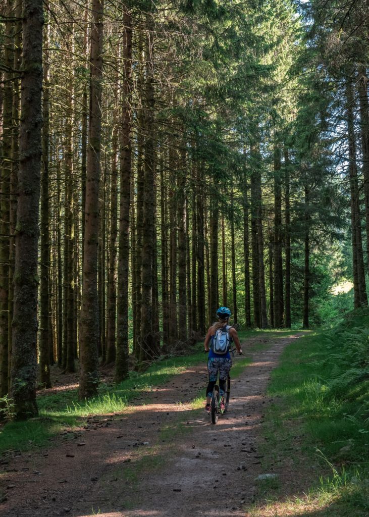 Activités outdoor sportives dans les Vosges : que faire à Gérardmer